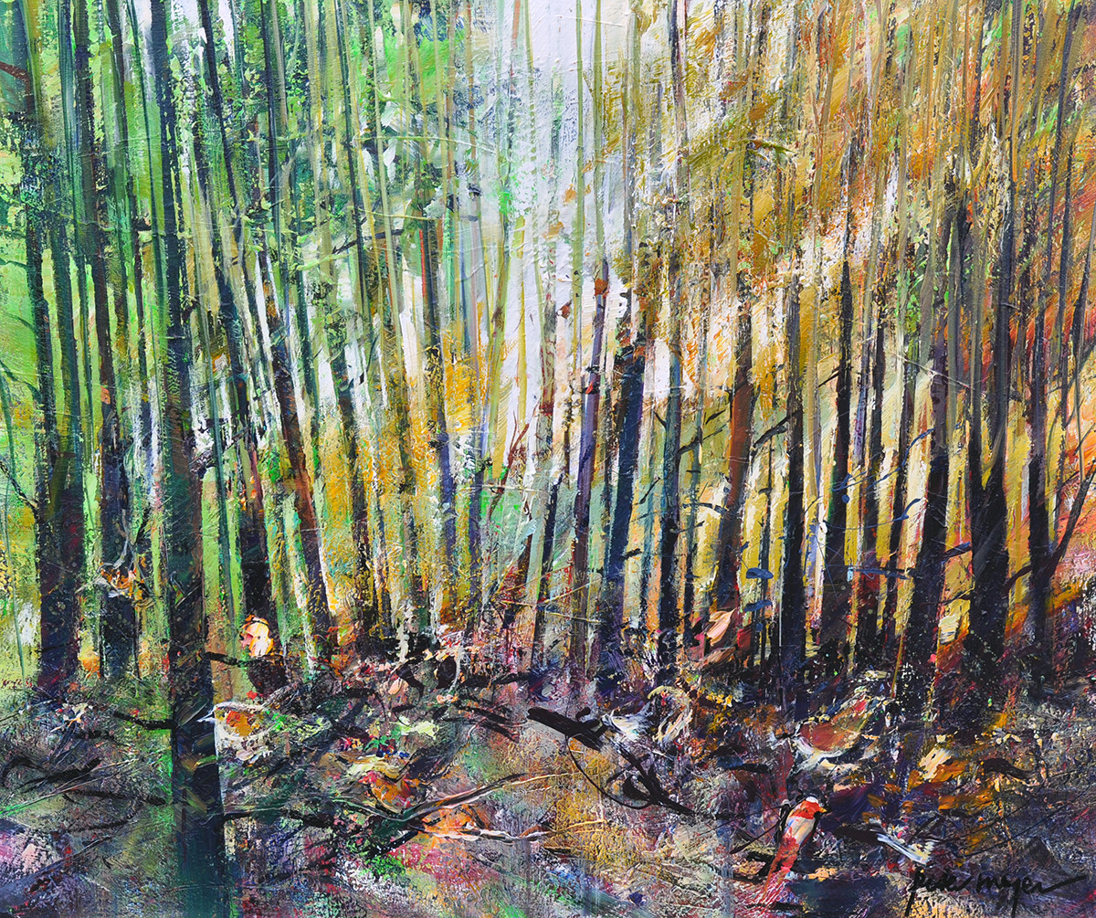 Peter Meijer + Autumn in the forest